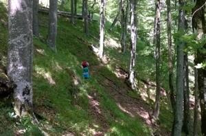 Besonders steiler Abhang in einem Wald