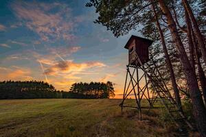 Hochsitz mit Blick über eine Wiese zum Wald