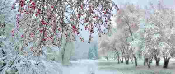 winterliche Parkanlage