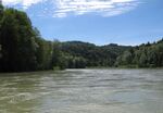 Gewässerabschnitt der Unteren Salzach