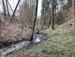 Beschwerde gegen naturschutzr. Bescheid BH_Fr