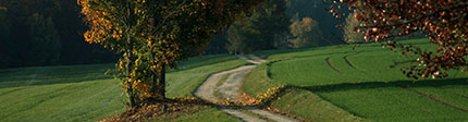 Ein Feldweg im Herbst