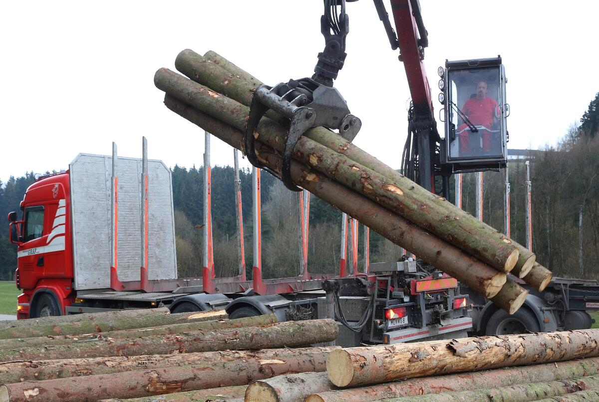 Arbeiten im Sägewerk