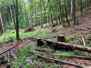 Forststraße Bodinggraben