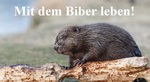 Mit dem Biber leben