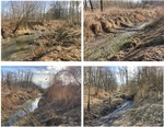 Naturnahes (tw. trocken gefallenes) Gerinne unterhalb der Ortschaft Landshaag (Marktgemeinde Feldkirchen)