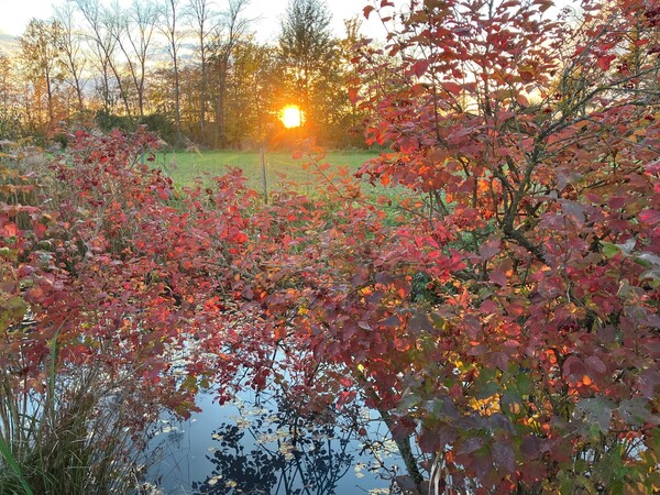Herbstbild