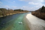 Kiesbank stromab der Alm-Mündung (Fließstrecke Lambach-Gunskirchen)