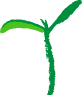 Pflanze aus Logo